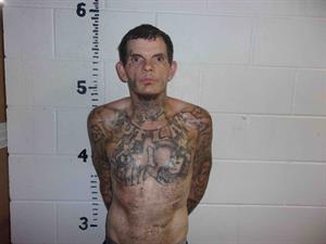 SHUPE JR, CHARLES